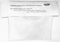 Image Associated With the Occurence